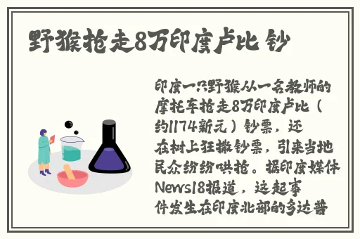 欧美成人精品视频在线播放